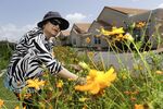 A new study shows how elders can thrive in &quot;naturally occurring retirement communities.&quot;