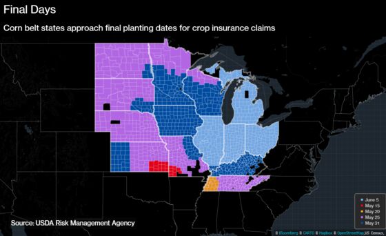 Unrelenting Rain Puts U.S. Farmers on Insurance-Deadline Watch