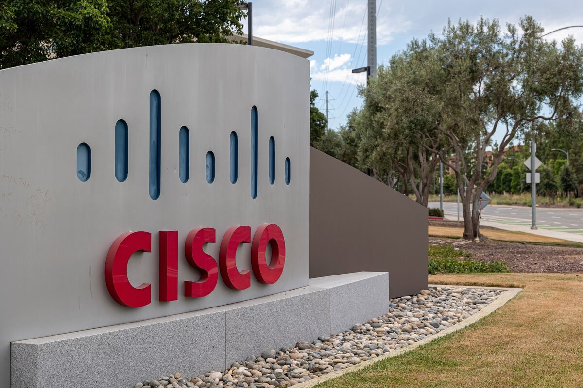 san cisco net worth