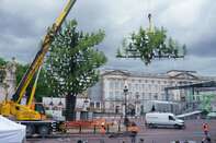 The Queen's Green Canopy "Tree Of Trees" Is Completed