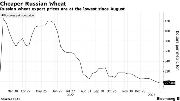 Дешевле российской пшеницы |  Экспортные цены на пшеницу из России находятся на самом низком уровне с августа