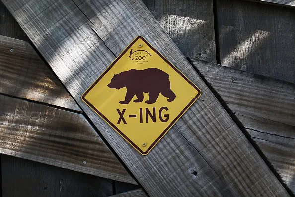 The bears are in control.
