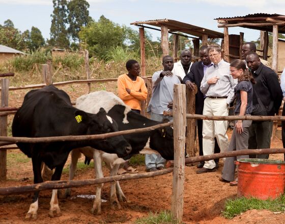 Bill Gates on Adapting to a Warmer World