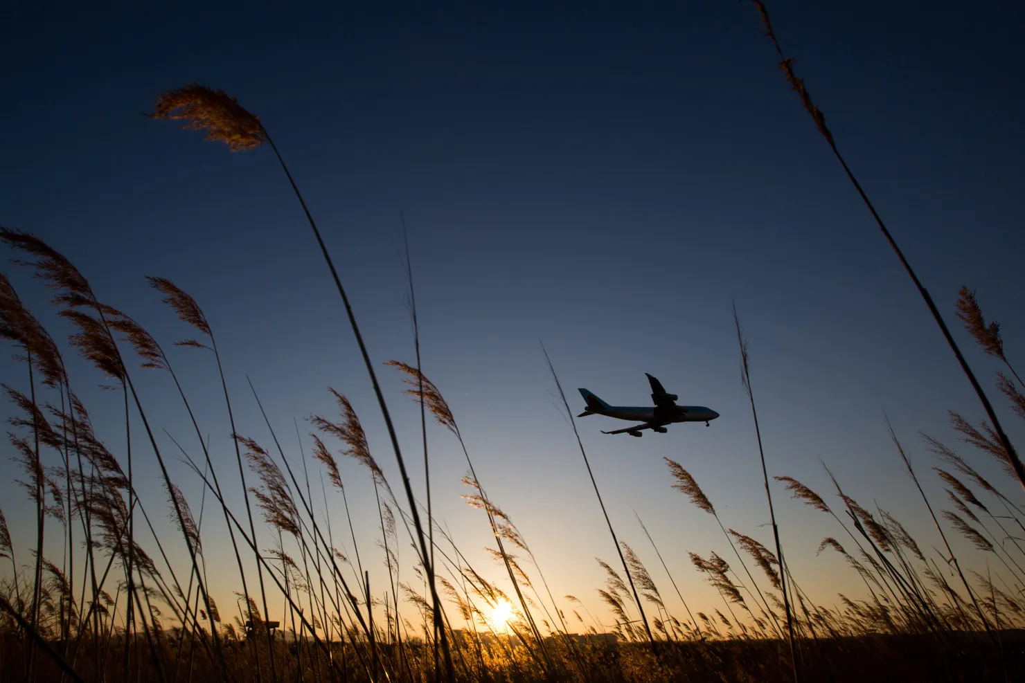 A plane prepares to land.