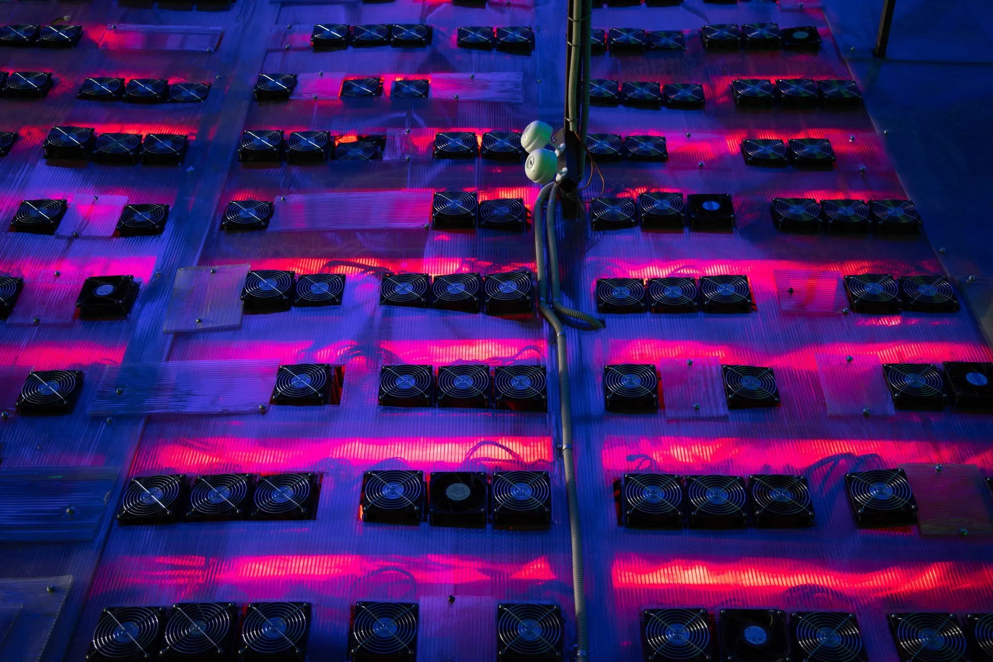 ビットコイン下落、４万ドル割れ－取引開始以来で最悪の年初滑り出し - Bloomberg