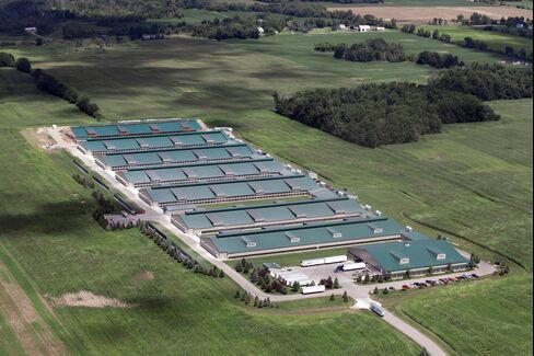 An aerial photo from August 2014 shows six hen houses, several with two floors, and a seventh under construction at the Green Meadow site in Saranac.