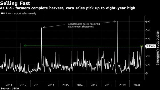 Continued ‘Bull Run’ for U.S. Farm Goods Means $11 Soybeans