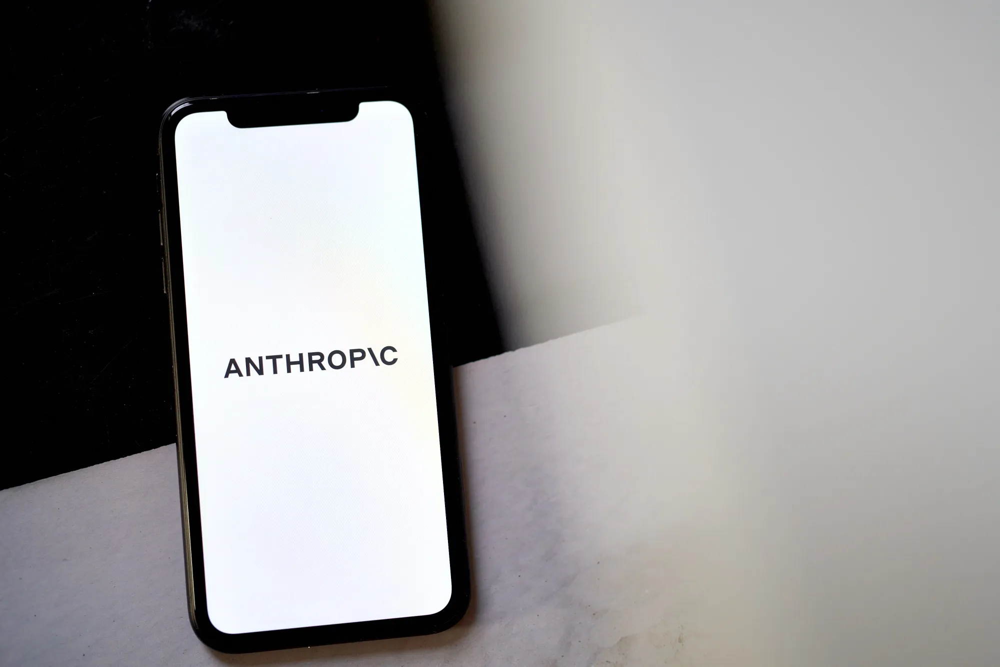 Anthropic, which develops large language models, is one of the leading AI companies in an era where investors are eager to write big checks for the sector.&nbsp;