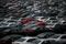 Hundreds of Volkswagen cars sit idle in the parking lot of the Pontiac Silverdome, former home of the Detroit Lions, on Tuesday, April 3, 2017 in Pontiac, Mich.