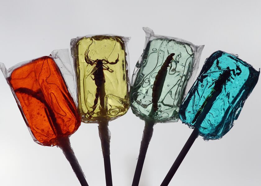 Grasshoppers, Crickets and Giant Scorpions On the Menu To Celebrate 85th Anniversary Of Rentokil