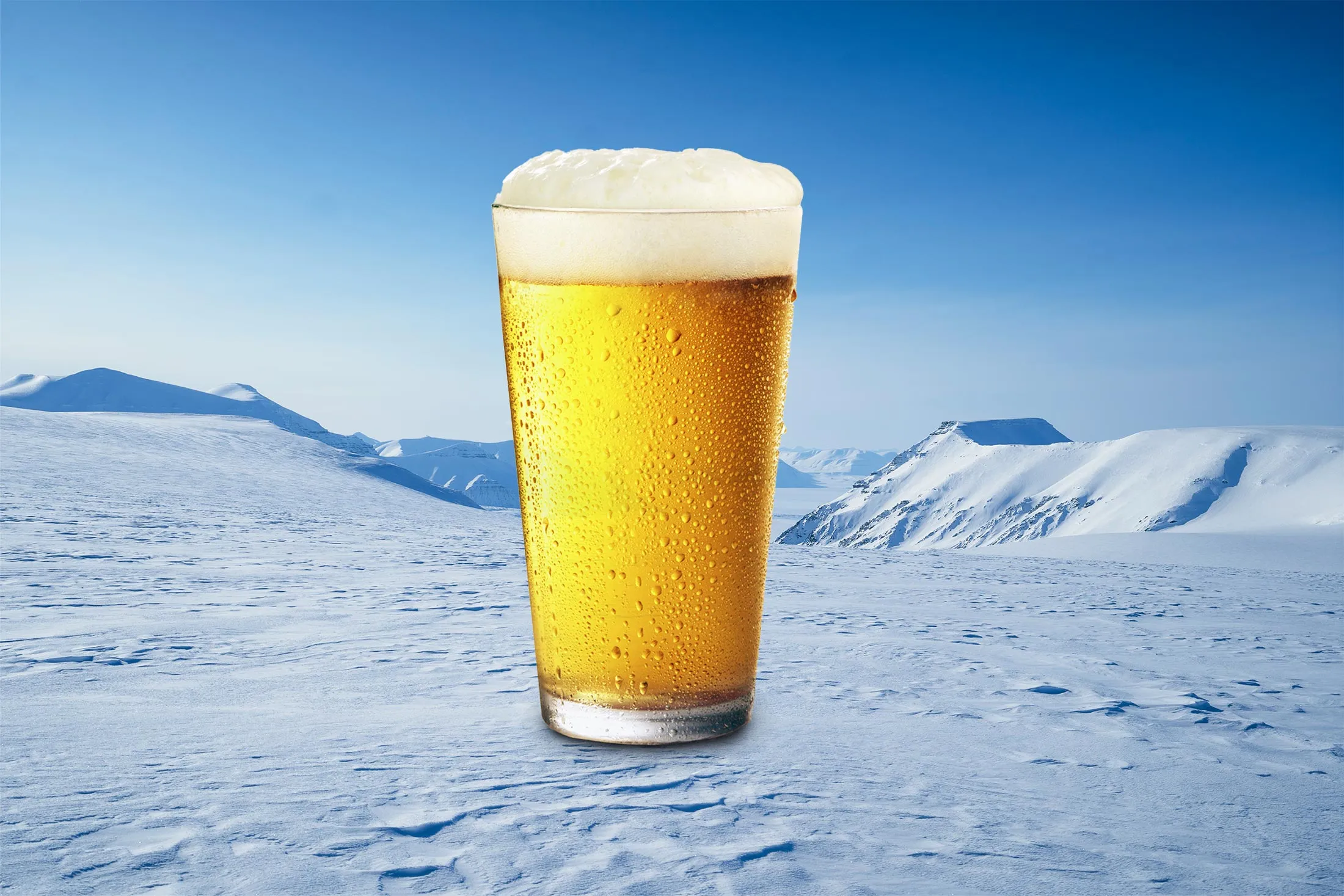 TOPSHELF0829 Cold Beer