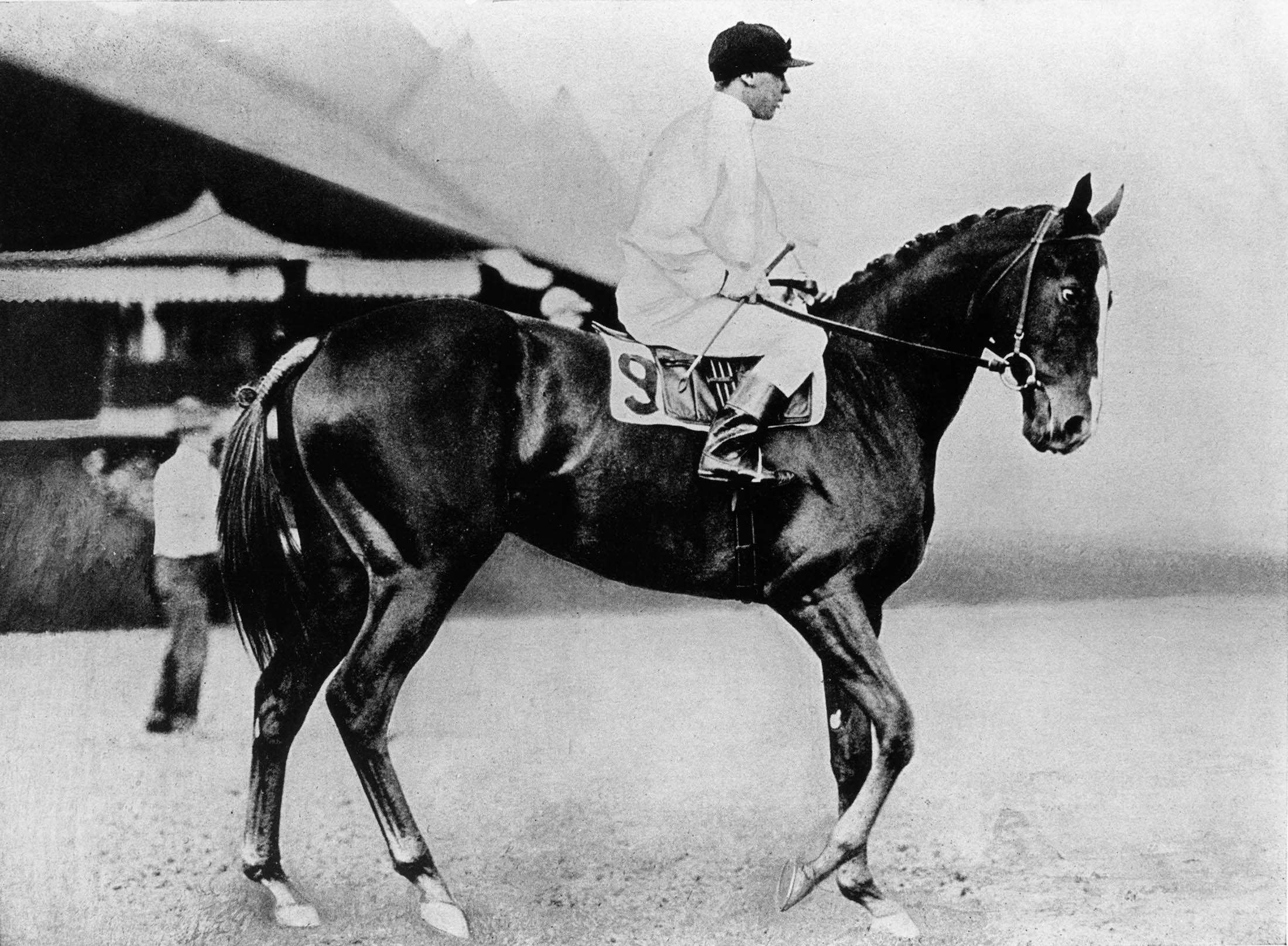 7 Horses Behind the Wildest Kentucky Derby Wins of All Time - Bloomberg