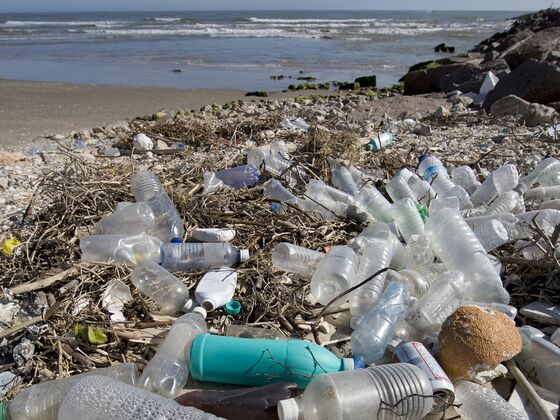 U.S. Must Create a Post-Plastic Economy, Scientists Say in New Study