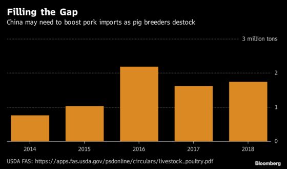 The Year of the Pig Will Be a Pig of a Year for China's Hogs