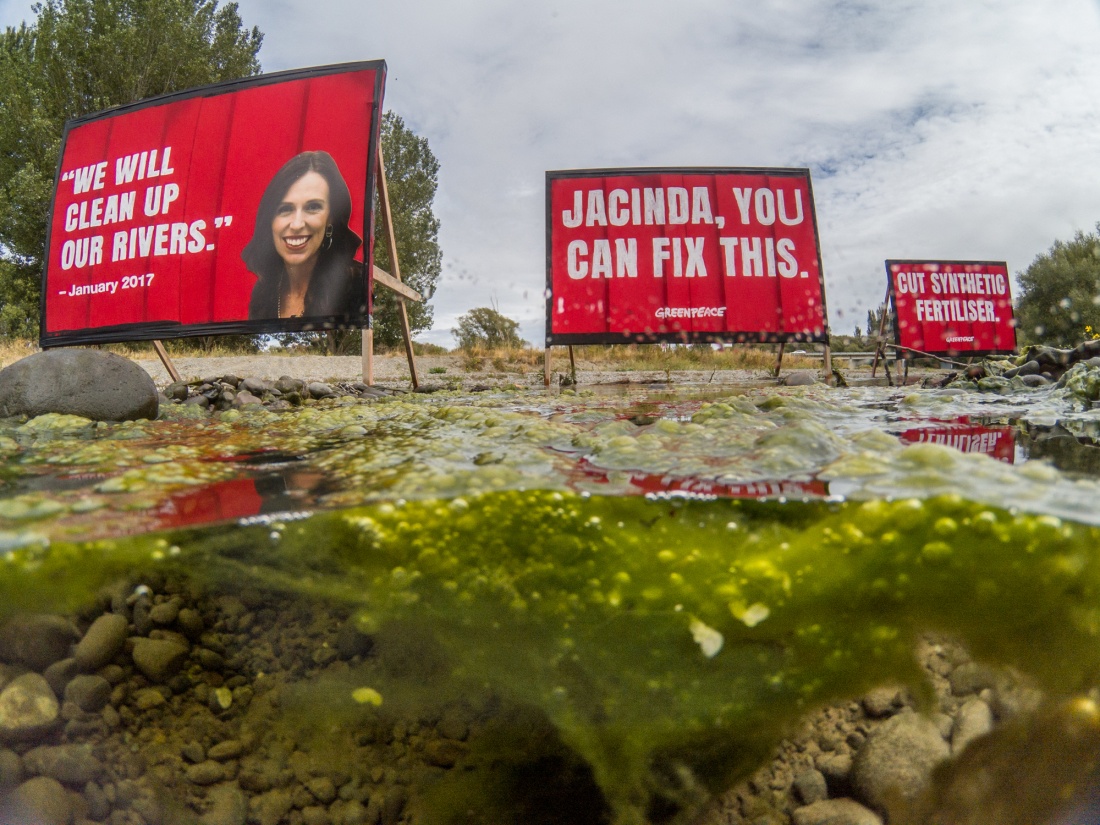 Greenpeace billboards in the algae-filled Selwyn River in Waikirikiri, Canterbury, in February quote Ardern’s 2017 promise to clean up New Zealand’s rivers.