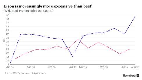 Bison is increasingly more expensive than beef.