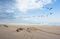 Skeleton Coast
