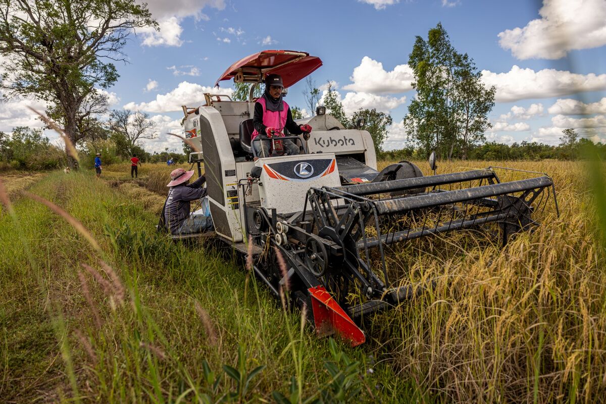bloomberg.com - Hallie Gu - Fuel Shortages From Iran War Threaten Asia's Biggest Food Staple