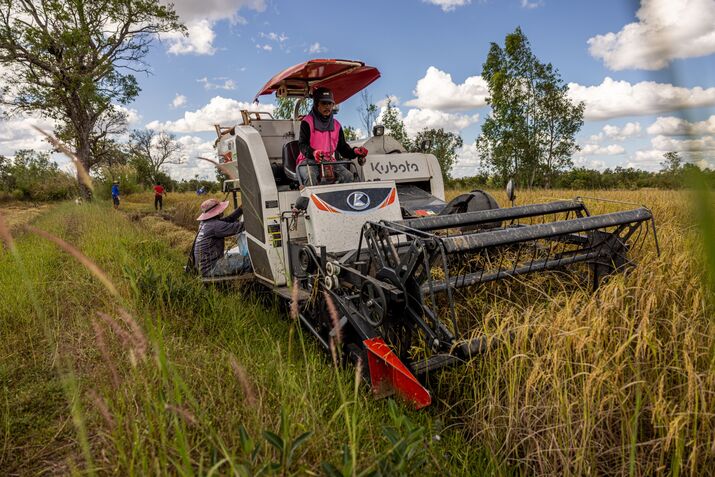 Thai Government Helps Rice Farmers Mitigate Climate Change