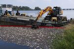 An excavator pulls out dead fish&nbsp;along the bank of the Oder River&nbsp;near Krajnik Dolny, Poland, on Aug. 15.&nbsp;