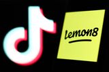 Lemon8 Photo Illustrations