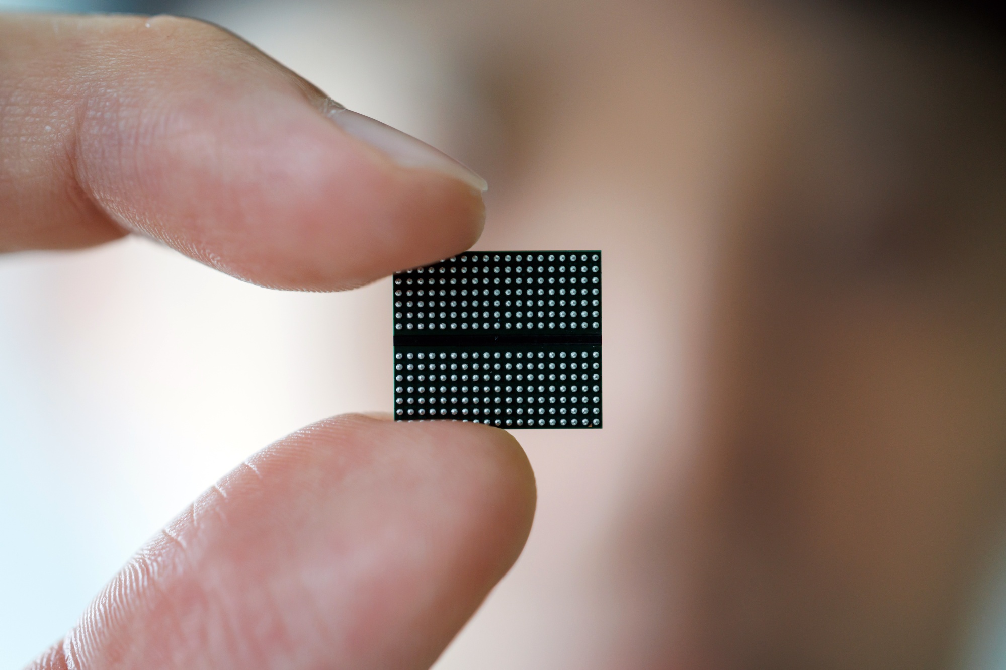 A chip.