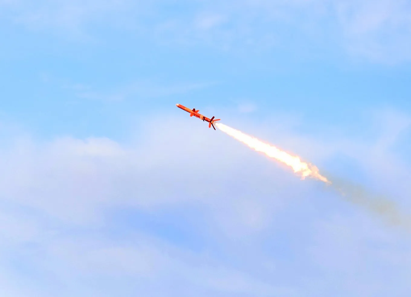 A Ukrainian Neptune missile.