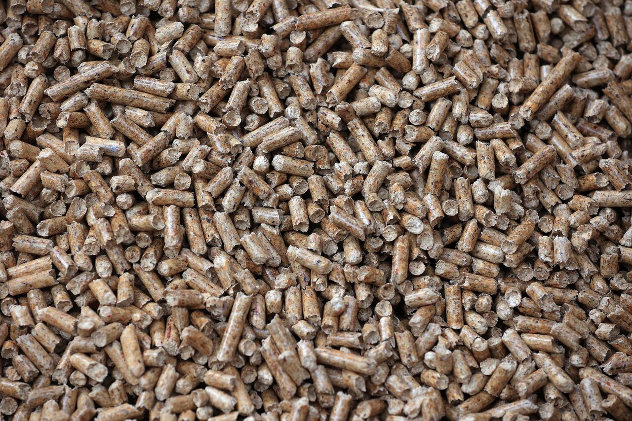 UK Audit Office Launches Study of Government Biomass Policy - Bloomberg