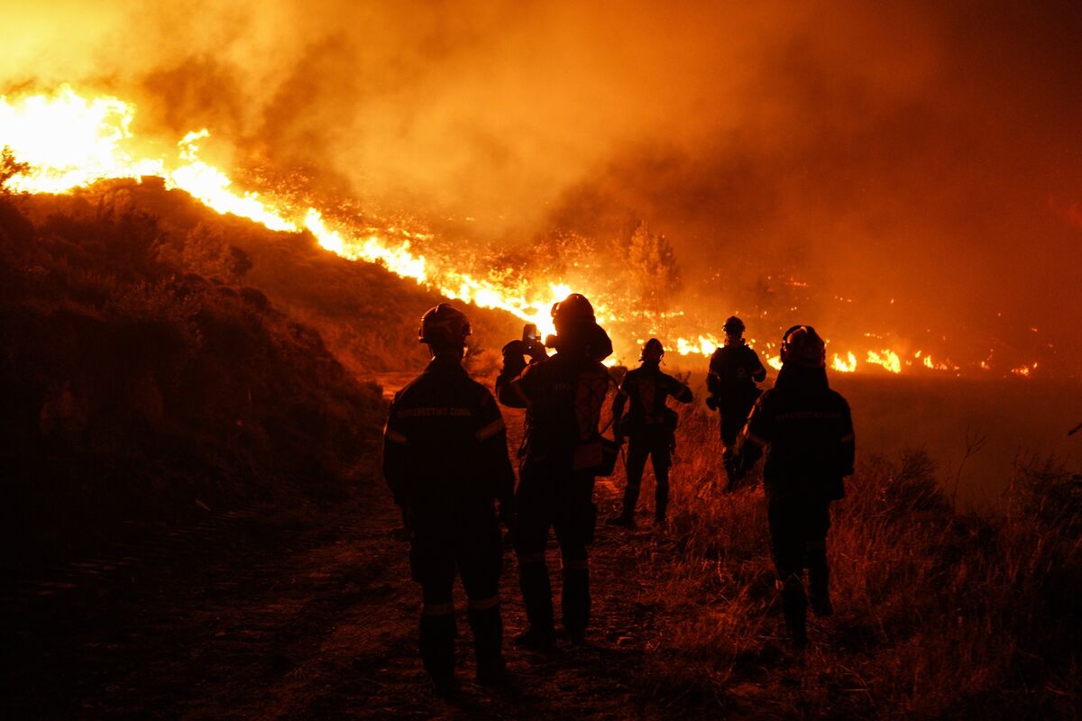Waldbrände in Griechenland: Wachsende Besorgnis angesichts steigender ...