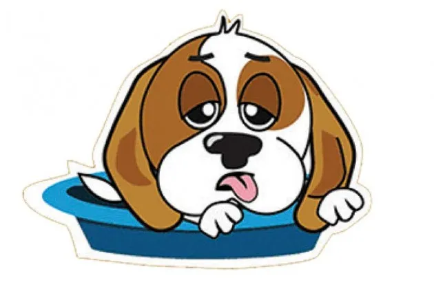 India's Hike App Succeeds With Private Chat Mode