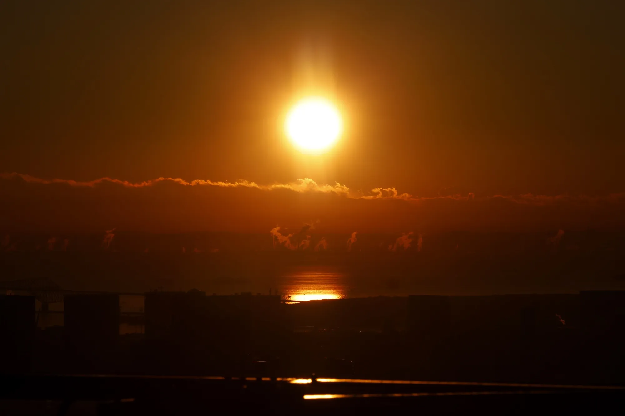 Viewing First Sunrise of the Year from Shibuya Observatory