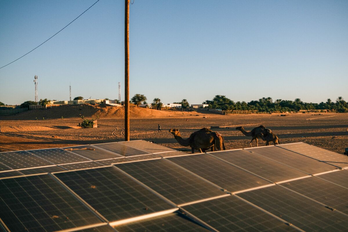 Renewables Topped Coal in Global Power Mix in 2025, Ember Says - Bloomberg