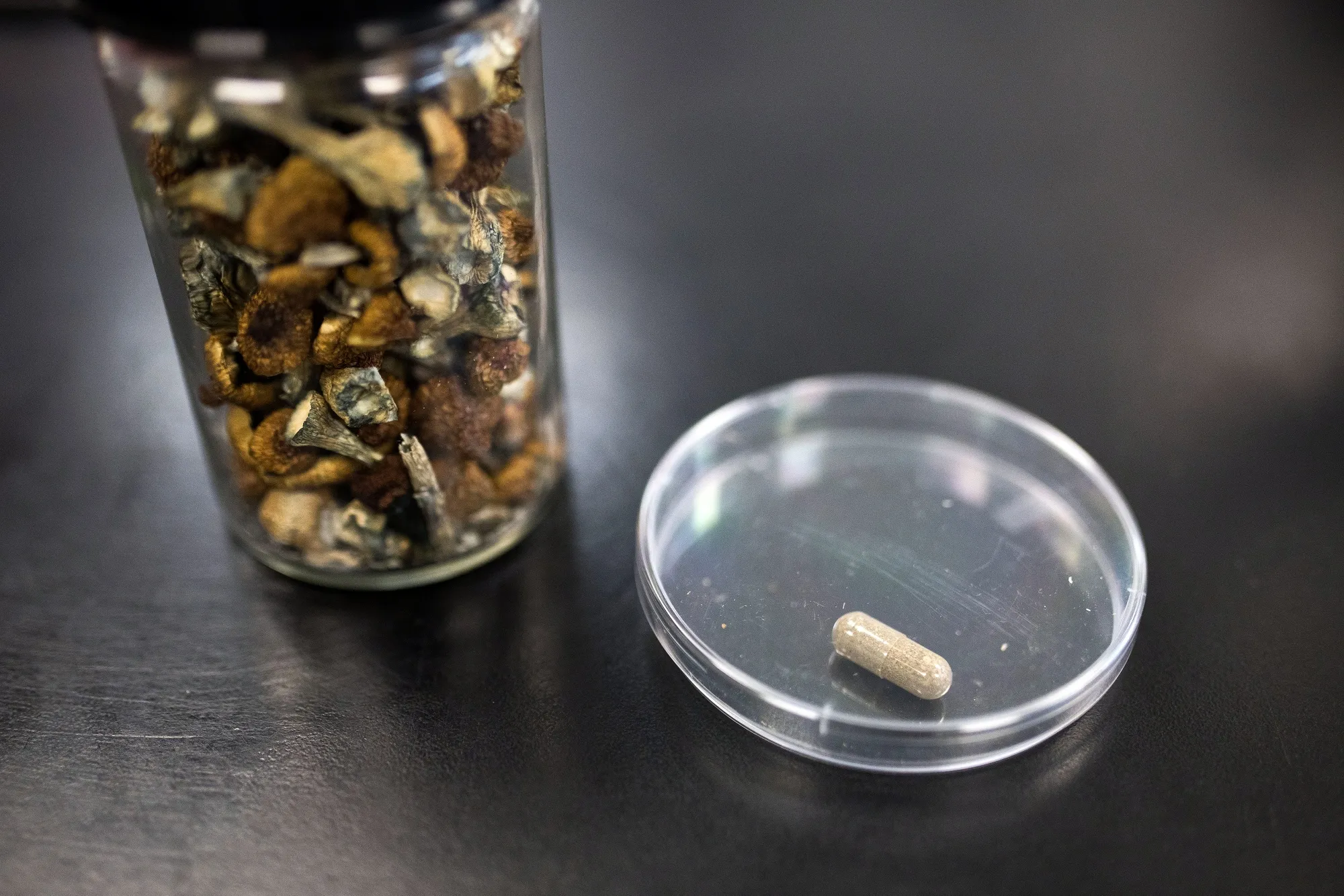 A container of Psilocybe mushrooms, left, alongside the final product in pill form.
