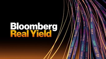 relates to Bloomberg Real Yield 03/01/2024