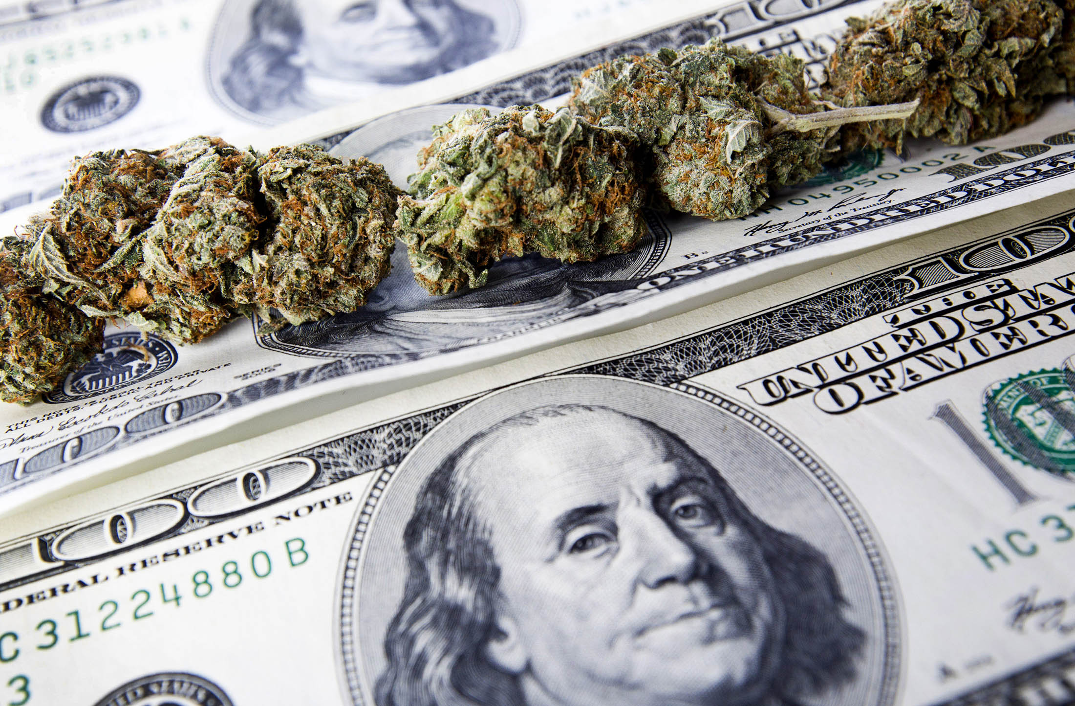 Cheap Marijuana Is a Big Problem for Cannabis Companies - Bloomberg