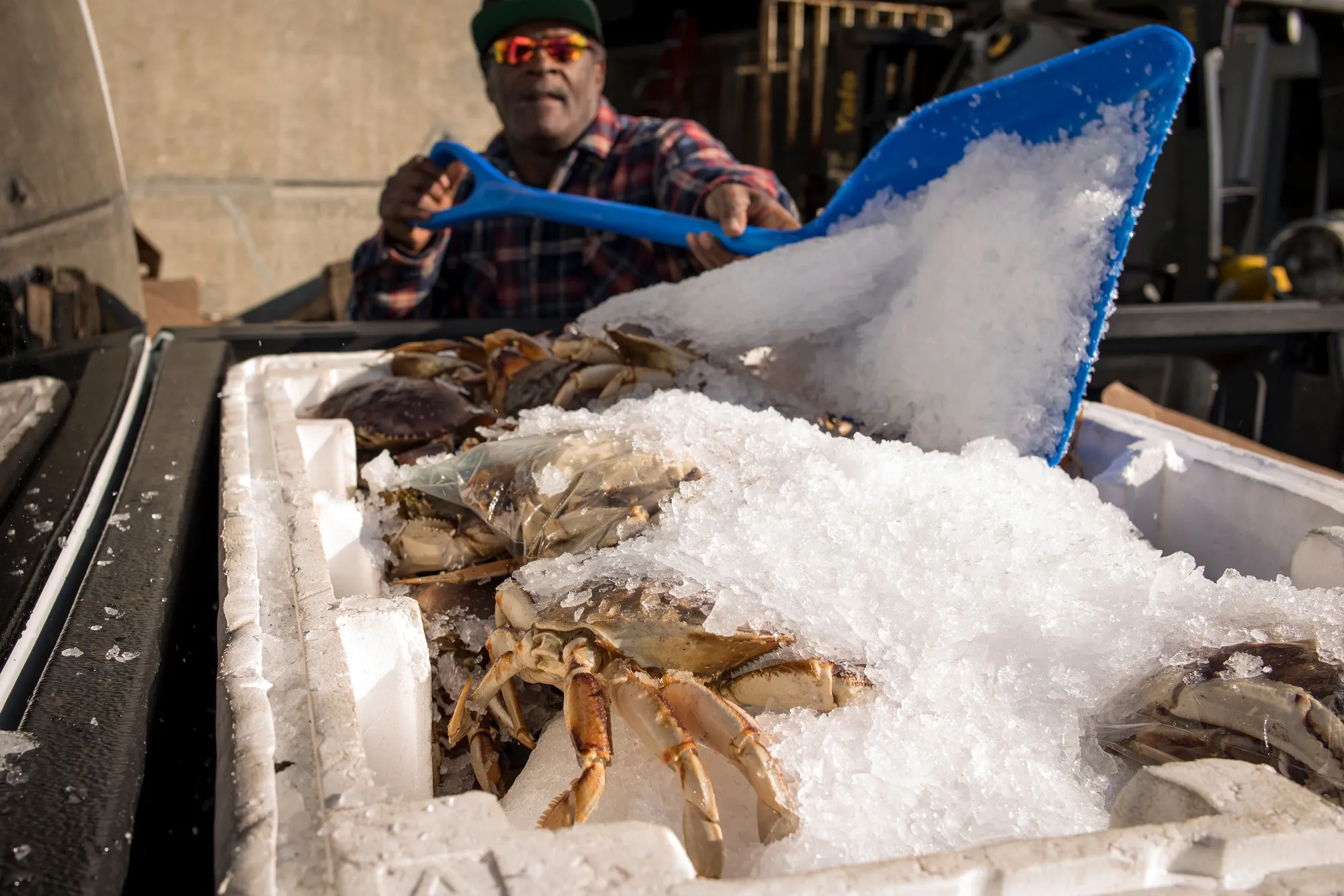 A worker packs ice over Dungeness crab&nbsp;in San Francisco, California, U.S.