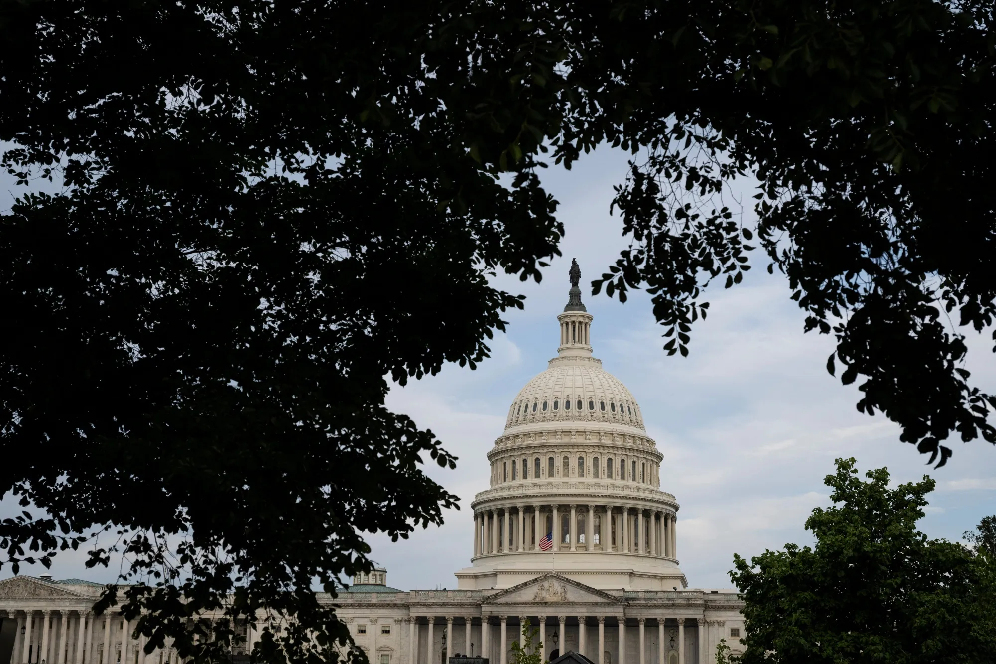 The US Capitol in Washington, DC.