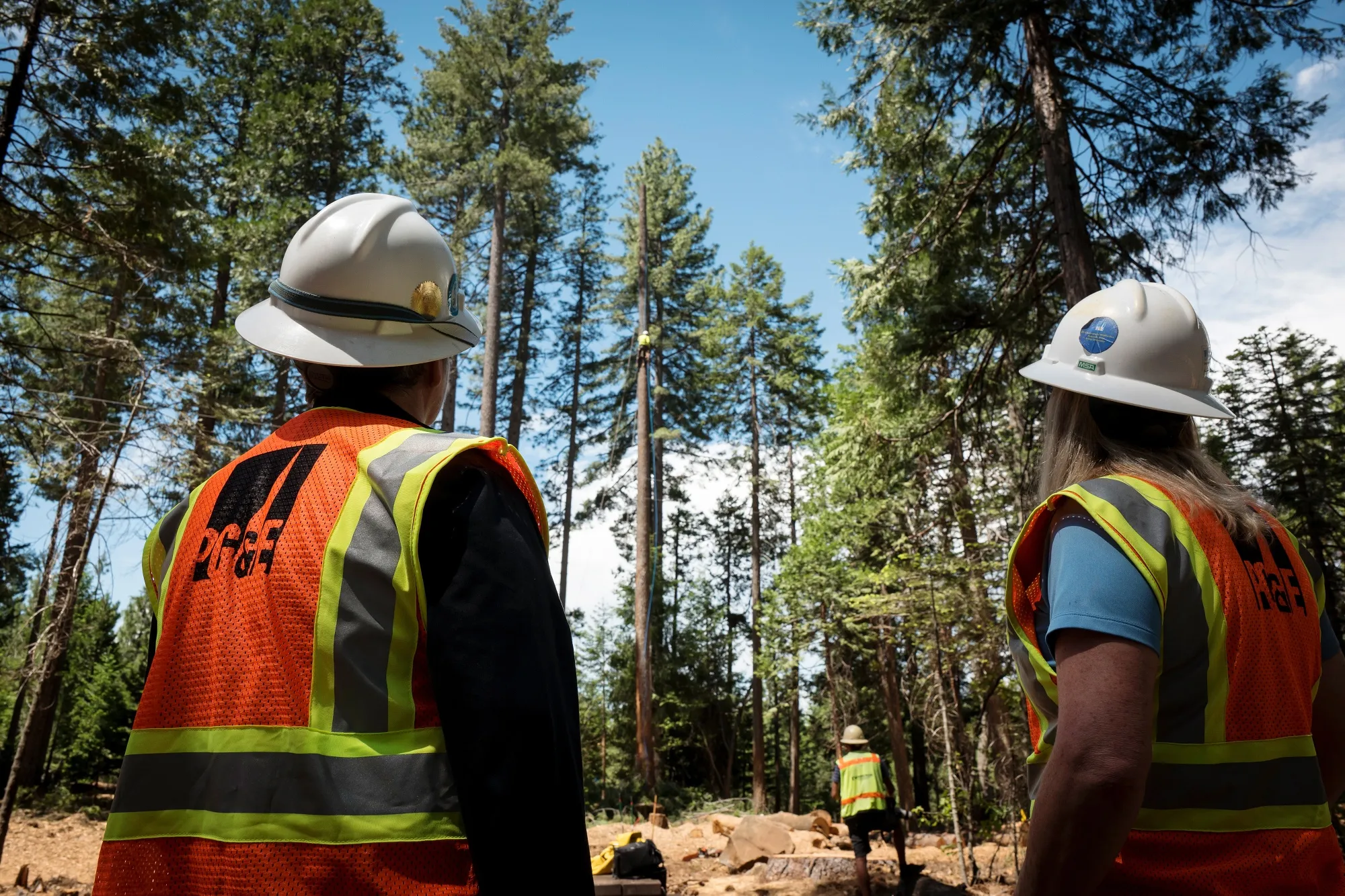 Pacific Gas &amp; Electric employees watch as contractors clear trees away from the company's power lines in Nevada City, California.