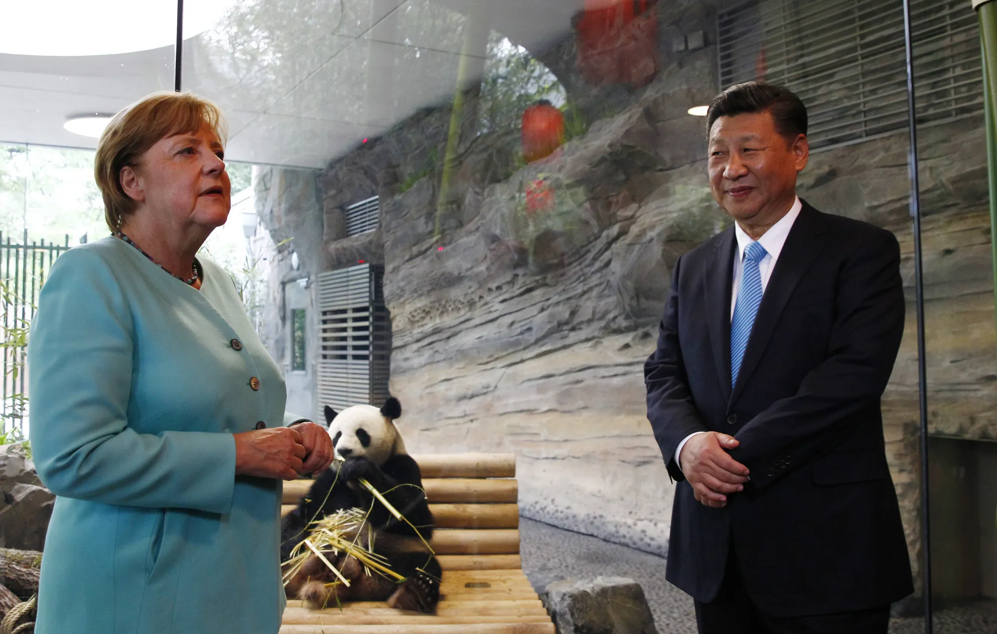 Xi and Merkel Bond Over Panda Diplomacy in Prelude to G-20 Summit -  Bloomberg