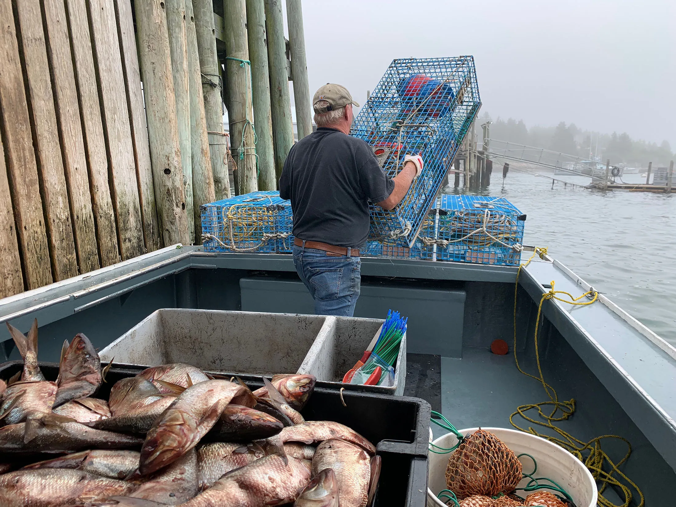 Blaine Olsen stops at the Stonington Lobster Co-Op to pick up his traps, and stacks them on the stern of his boat prior to a day of fishing.
