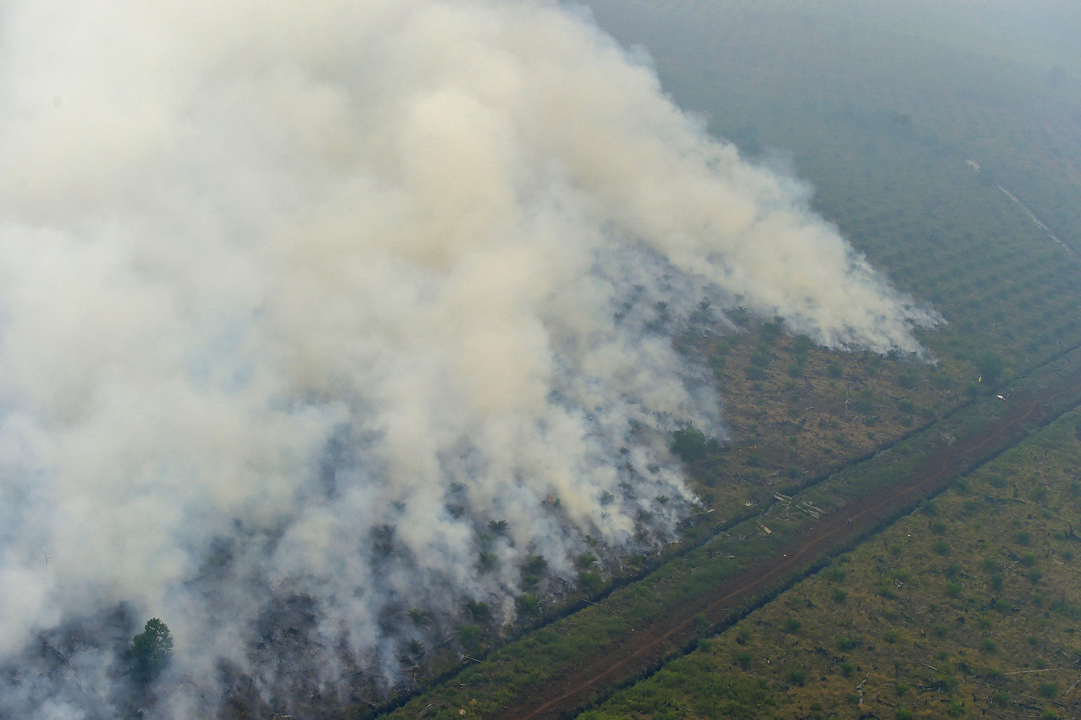 Fires burning at a concession area in Pelalawan, Riau province.
