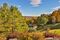 Foliage at Eastaway.