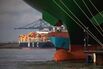 Top Shipping Line MSC Will Keep Avoiding Red Sea for Now