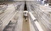 An employee loads up new rolls of material onto racks at a carpet manufacturing facility in Bloomsburg, Pennsylvania.