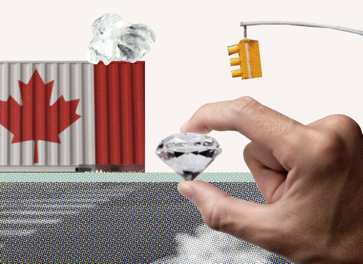Why the US Trade War With Canada Is a ‘Bar Fight’