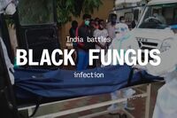 Deadly Fungus Infection Found in Covid-19 Patients in India