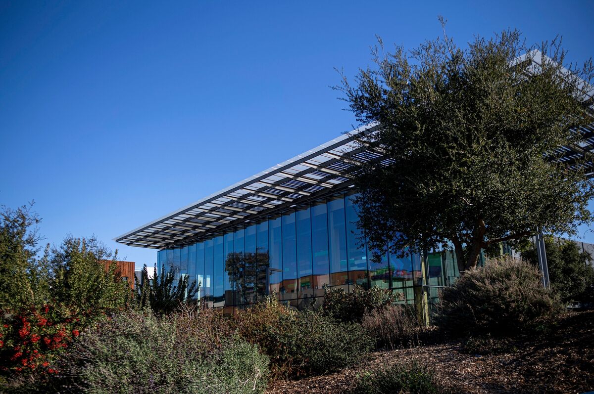 Microsoft Software Engineer Dies on Silicon Valley Campus at 35
