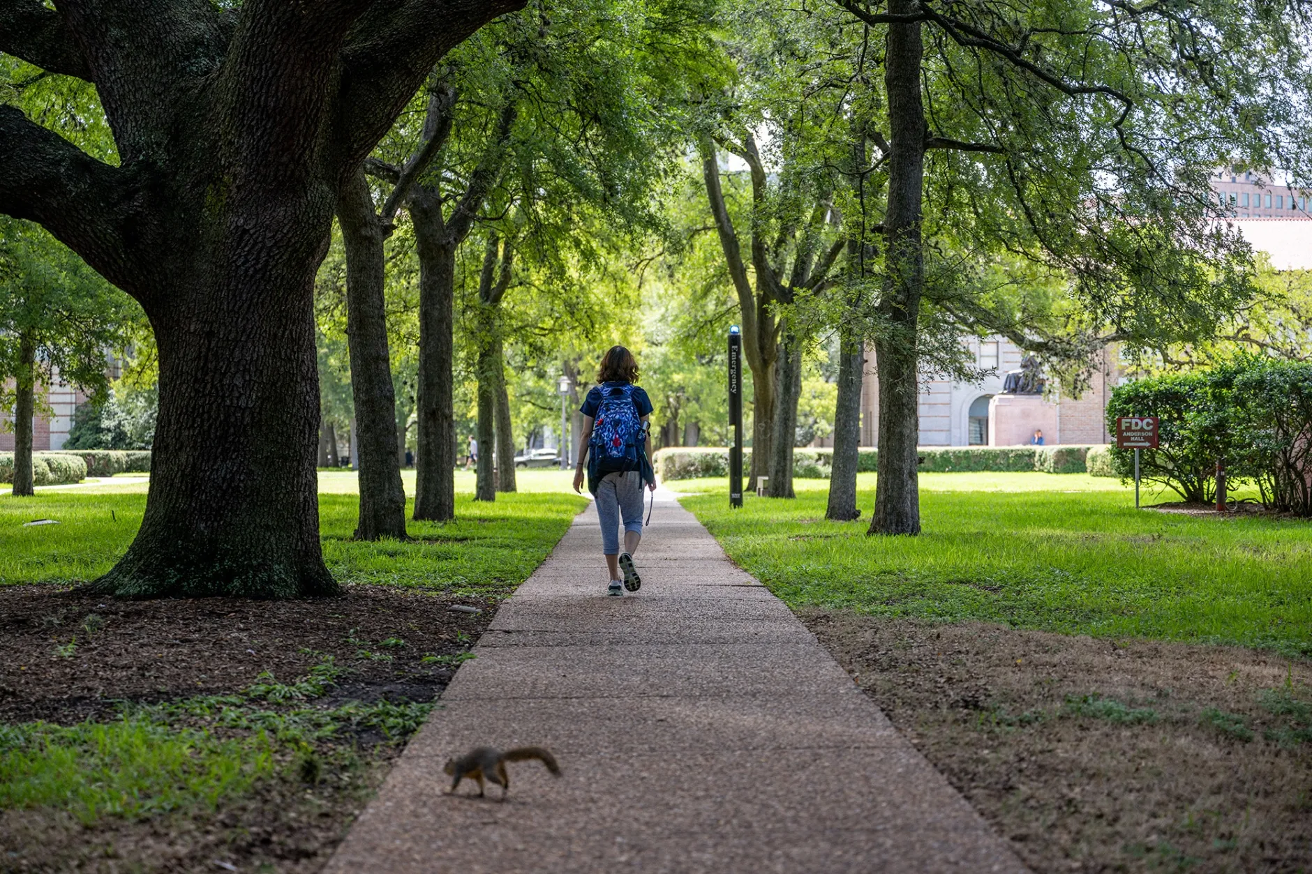 At least two schools are facing the legal costs of terminating municipal securities as well as pursuing alternative financing for construction projects.&nbsp;