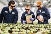 Scientists Want to Replace Pesticides With Bacteria