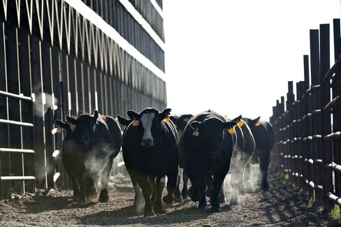 Drought Withers Smallest Hay Crop in Century
